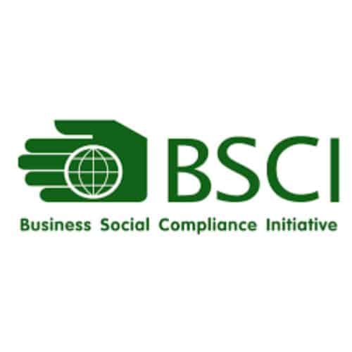 BSCI BSCI logo