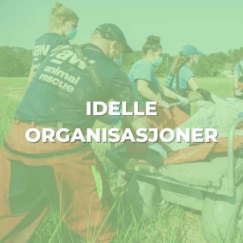 Merch for ideelle organisasjoner